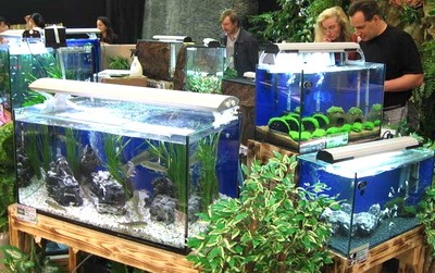 Osveshchenie akvariuma 2