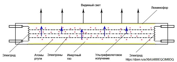 Drosseli 4